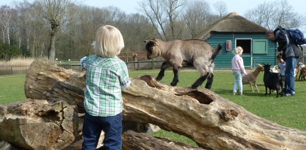 dagje-uit-kinderboerderij